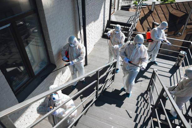 Best Mold Removal for HVAC Installations  in Seward, AK