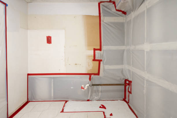 Environmental Consulting for Mold Prevention in Seward, AK