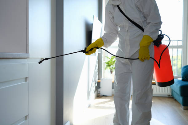Best Basement Mold Removal  in Seward, AK